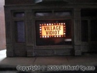 Village Vidiot Video Store in Fordham